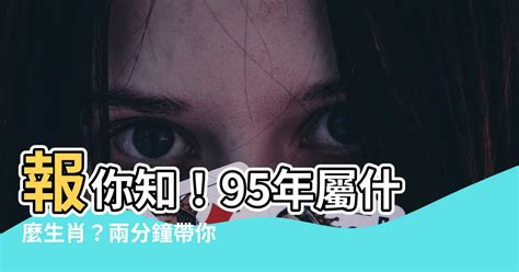 95屬什麼